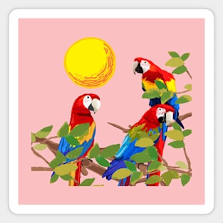 parrots Magnet